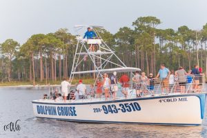 Dolphin Cruise Boat